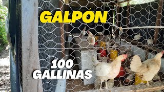 Como hacer un GALPON casero para Gallinas Ponedoras y Pollos de engorde FÁCIL para 100 Gallinas [upl. by Bay712]