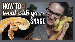 HOW TO BOND WITH YOUR SNAKE [upl. by Porter]