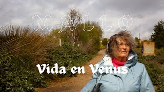 Mallo  Vida en Venus videoclip [upl. by Iggam]