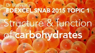 Edexcel SNAB A level biology Energy carbohydrates topic 1 [upl. by Hayott]