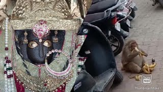 Monkey मैं छीन लिए सारे केले 😂 [upl. by Harli]