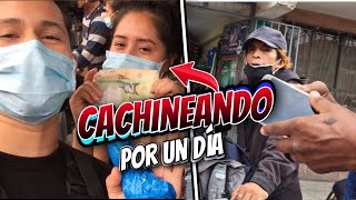 GANAMOS DINERO con productos DE LA CACHINA DE TACORA [upl. by Virginia583]