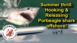 Porbeagle Shark Fishing Expedition Isle of Wight UK Small Boat A Glimpse into the Deep Sea Thrills [upl. by Ahsercul]