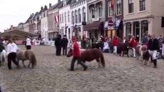 Huiberthoeve Paardenmarkt Vianen 2010 [upl. by Anauqcaj108]