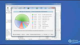 How to use Disk Savvy [upl. by Atsev]