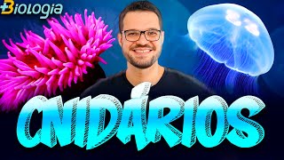 Filo Cnidaria  Cnidários anêmonas corais medusas aguas vivas caravelas Mais Biologia  Roger [upl. by Nivonod]