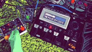 Strange Melody  Ambient Loop Roland GR55 Neunaber Stereo Wet EHX 22500 [upl. by Eneladgam]