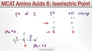 Isoelectric Point of Amino Acids with MCAT Shortcut [upl. by Atilegna]