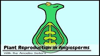 Plant Reproduction in Angiosperms [upl. by Novyaj]