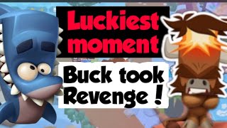 Zooba Buck vs Finn Buck revenge [upl. by Eikcid246]