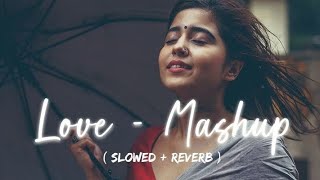 love  mashup slowed reverb Lofi songs 🎧🎧slowedreverb love slowedandreverb lofiremix song [upl. by Aneri]