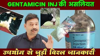 Gentamicin Injection Uses in hindi vet [upl. by Gruver]