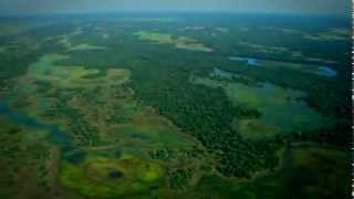 Ciclo das Águas do Pantanal [upl. by Coffin]