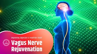 Vagus Nerve Rejuvenation Soothing Frequency For Improving Digestion amp A Healthier Heart  528hz [upl. by Enirol]