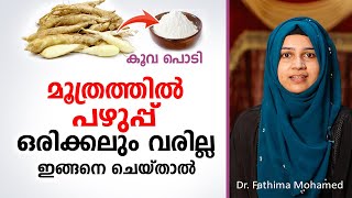 മൂത്രത്തിൽ പഴുപ്പ് ഒരിക്കലും വരില്ല ഈ കാര്യം ശ്രദ്ധിച്ചാൽ  Urinary Infection Malayalam [upl. by Almire]