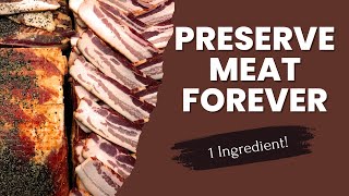 Preserve Meat Without Refrigeration FOREVER with only 1 Ingredient  Historical Salt Cured Meat [upl. by Arramat573]