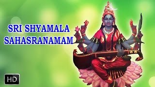 Sri Shyamala Sahasranamam  Powerful Mantra  DrR Thiagarajan [upl. by Cristin848]