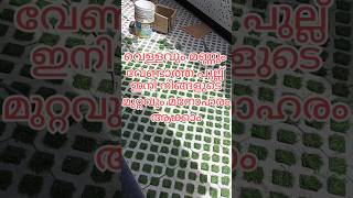 Outdoor paving tiles outdoor floor tiles viralvideo outdoor floor stone design [upl. by Doe]