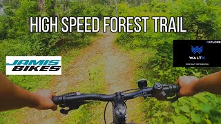 HIGH SPEED DEEP FOREST TRAIL MTB  JAMIS DIVIDE  WALTX TRAIL 275  TREK BIKES [upl. by Eintirb]