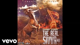 Shawn Storm  Infliction Official Audio [upl. by Retsim]