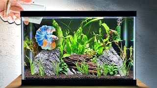 EASY Planted Tank Tutorial for Betta Fish Step by Step [upl. by Broderic]