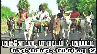 புதுக்கோட்டை மாவட்டம் k புதுப்பட்டி நாடு மாடு பிரிவு 2 [upl. by Ojeillib277]