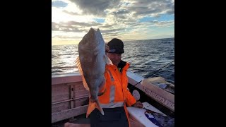 Terrigal Fishing  Winter Snapper [upl. by Enetsuj]