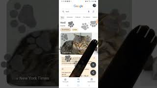 Google hileleri drawing artartist animation music music animation roblox keşfetbeniöneçıkar [upl. by Monty]