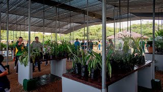 Jardín Vivero de Maracaibo en la Vereda del Lago [upl. by Aicnorev]