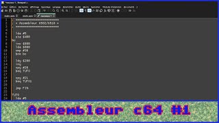 1 Assembleur C64 [upl. by Ultan331]