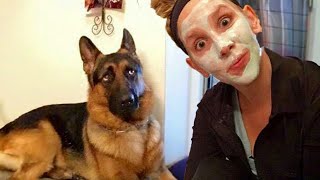 When your dog gives you the side eye 😄 Funny Dog and Human Video 2024 [upl. by Oiled]