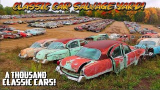 A THOUSAND CLASSIC CARS MASSIVE JUNK YARD Classic Car Salvage Yard Junktown USA Classic Cars [upl. by Tanhya903]