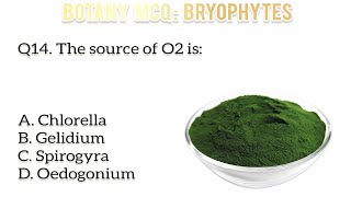 Top biology mcq practice  Bryophyta  Botany mcq  Liverworts amp mosses mcq [upl. by Alokin]