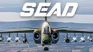 SEAD Missions Are TERRIFYING  DCS SU25T SEAD Over Syria [upl. by Llet]