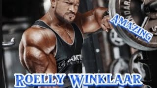 • Amazing Roelly Winklaar Motivation • roellywinklaar motivation musculation [upl. by Emalee]