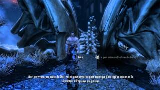 Skyrim PC HD FR Skuldafn Sovngarde et combat final contre Alduin [upl. by Thissa]