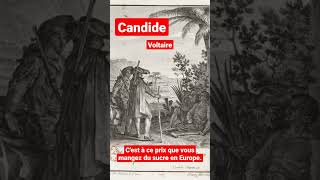 Candide Voltaire le nègre de Surinam quotCest à ce prix que vous mangez du sucre en Europequot shorts [upl. by Harshman787]