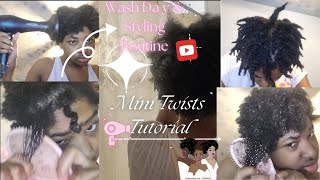 Mini Twists Tutorial The Ultimate Wash Day amp Styling Guide [upl. by Lamahj535]