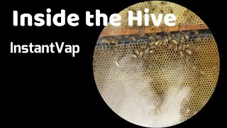 Ep 95 Inside a Beehive Being Vaporized With Oxalic Acid Using An InstantVap [upl. by Nyl]