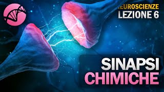 Le Sinapsi Chimiche  NEUROSCIENZE  Lezione 6 [upl. by Barbey]