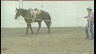 Ground Handling Horse Lunging Techniques eXtension [upl. by Aitnis]