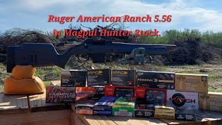 RUGER AMERICAN RANCH IN 556 ON MAGPUL HUNTER STOCK ACCURACY TEST [upl. by Nnylorac]