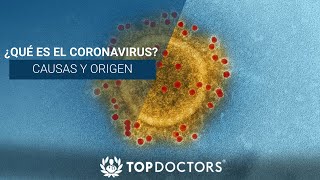 ¿Qué es el Coronavirus Causas y origen [upl. by Freberg]