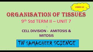 9th TN Samacheer Science  Cell Division  Amitosis amp Mitosis [upl. by Ahsha]