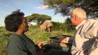 Vu du Ciel  S01E01  513  Les éléphants du parc dAmboseli  Kenya [upl. by Curr]