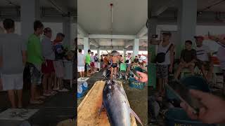 Jackpot talaga ang bangkang ito sa mga tuna viral tuna trending fishing shorts shortvideo [upl. by Paten]