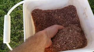 Natural low cost mineral salt to fertilize plants trees and control weeds [upl. by Carleen]