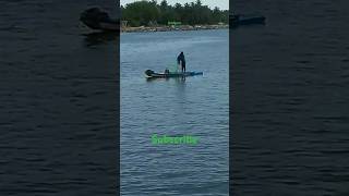 fishing skillnet fishingnet google youtubeshorts funny youtuber feed fishingvideo [upl. by Oilime]