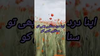 insnan bht hein shortsfeed poetry bestislamicpoetry youtubeshorts sadpoetry quotes [upl. by Yttel]