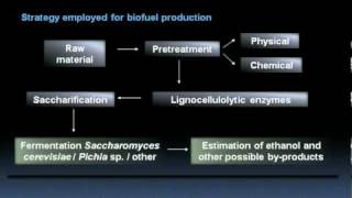 NonEdible Lignocellulosic Refuse as Feedstock for Microbial Production of Bioethanol [upl. by Nelloc]